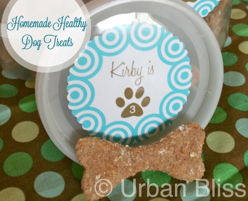  Birthday Party Ideas on Dog Birthday Party Ideas   Homemade Dog Treat Recipe