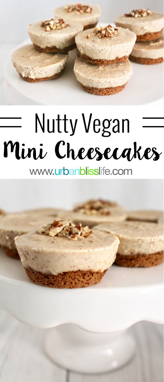 Nutty Buddy Frozen Cheesecake