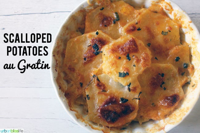 gratin delicious au recipe potato Life Urban Bliss Au Potatoes  Scalloped Gratin