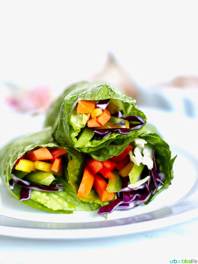 Whole30 Salad Recipe: Quick and Easy Rainbow Salad Rolls